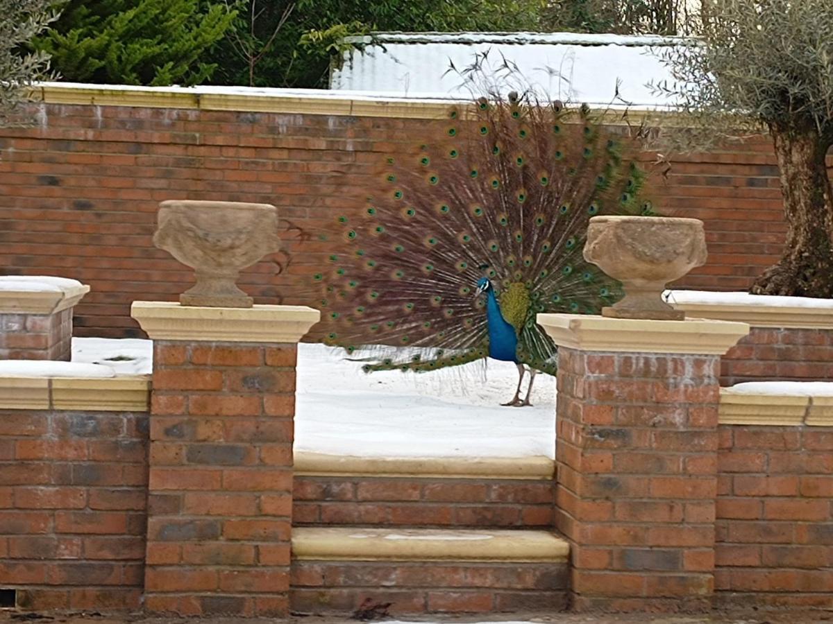The West Wing At Eriviat Hall Hot Tub Henllan  Eksteriør bilde
