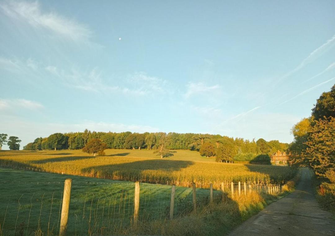 The West Wing At Eriviat Hall Hot Tub Henllan  Eksteriør bilde