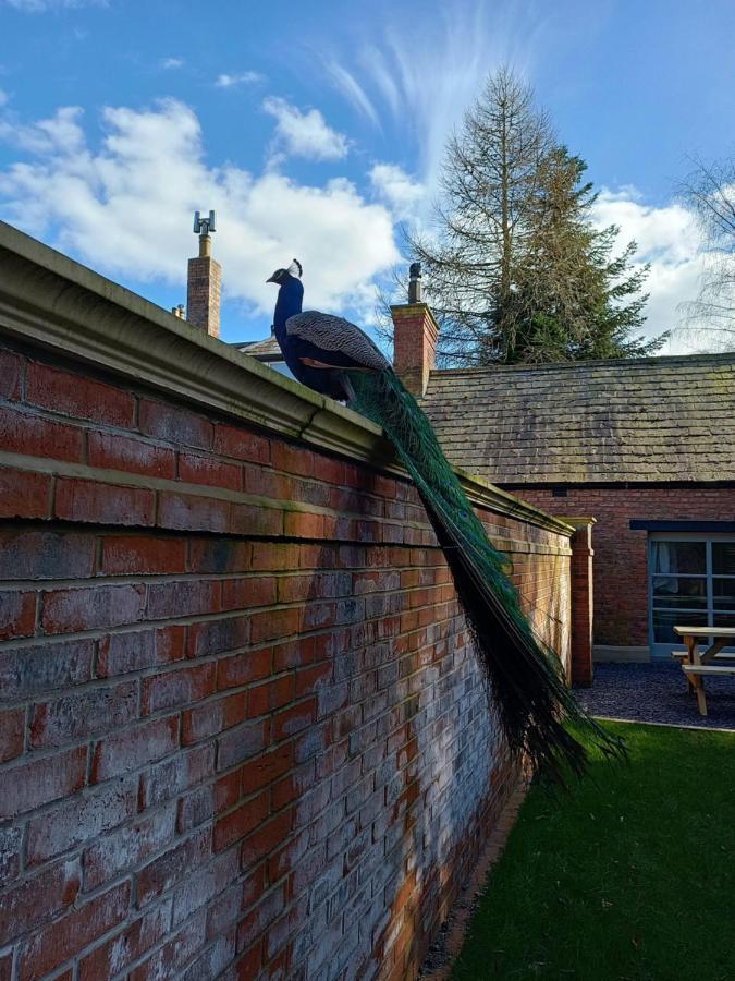The West Wing At Eriviat Hall Hot Tub Henllan  Eksteriør bilde